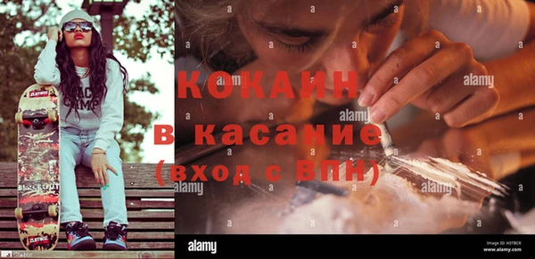 эйфоретик Бородино