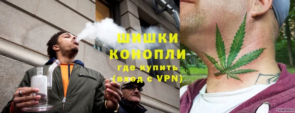 эйфоретик Бородино